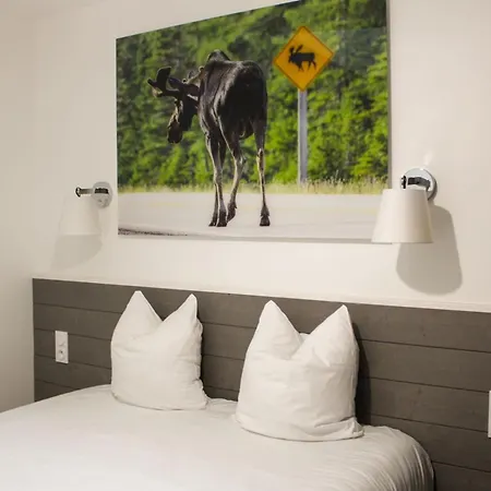 Canada - Domaine Le Sherwood *