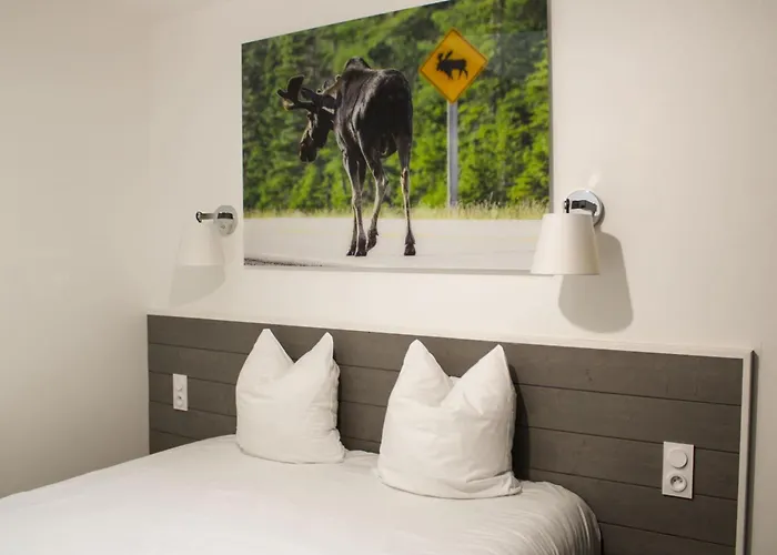 Canada - Domaine Le Sherwood *